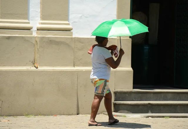 Tarifaço dos EUA pressiona agronegócio e entra na disputa eleitoral